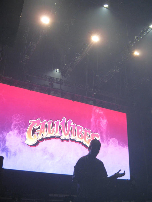 CALIVIBES 2025